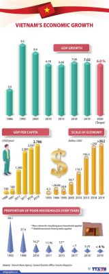  Quantifying Vietnam: A Tapestry of Economic Growth and Social Transformation